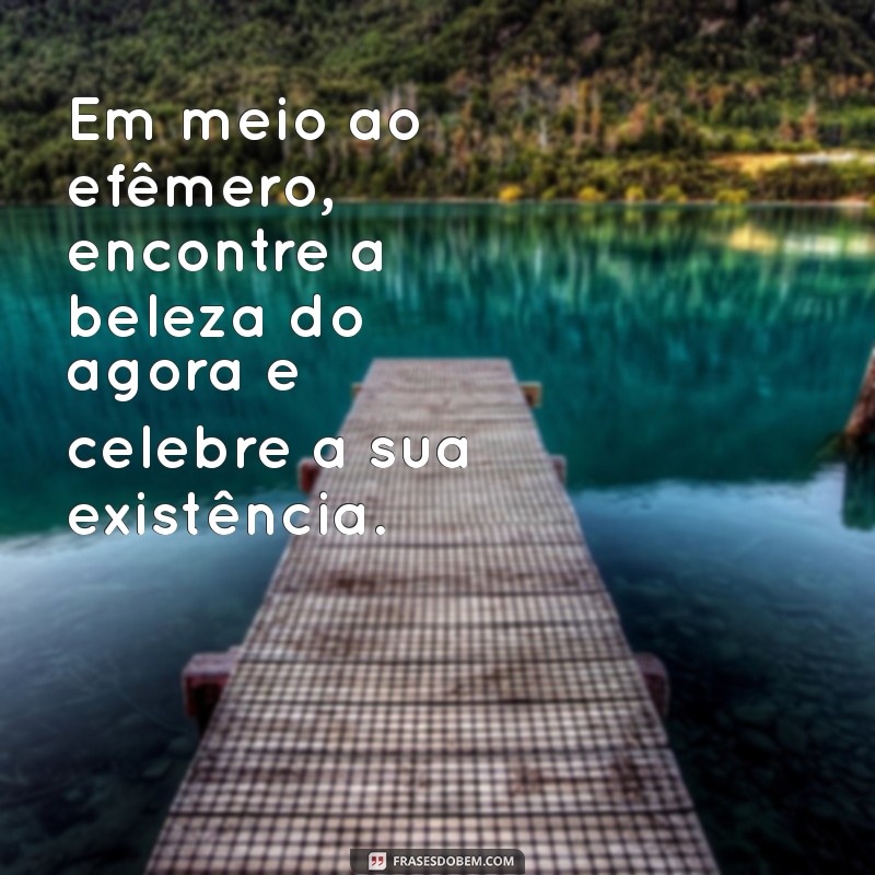 Reflexões sobre a Vida Passageira: Mensagens que Inspiram e Transformam 