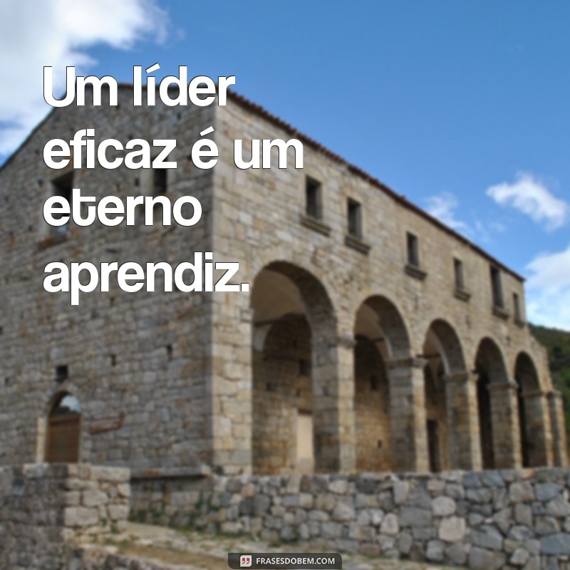 Frases Inspiradoras para Celebrar o Dia do Diretor: Motivação e Liderança 