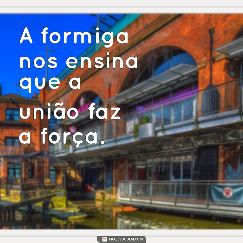 30 Frases Inspiradoras com a Palavra Formiga para Refletir e Compartilhar 