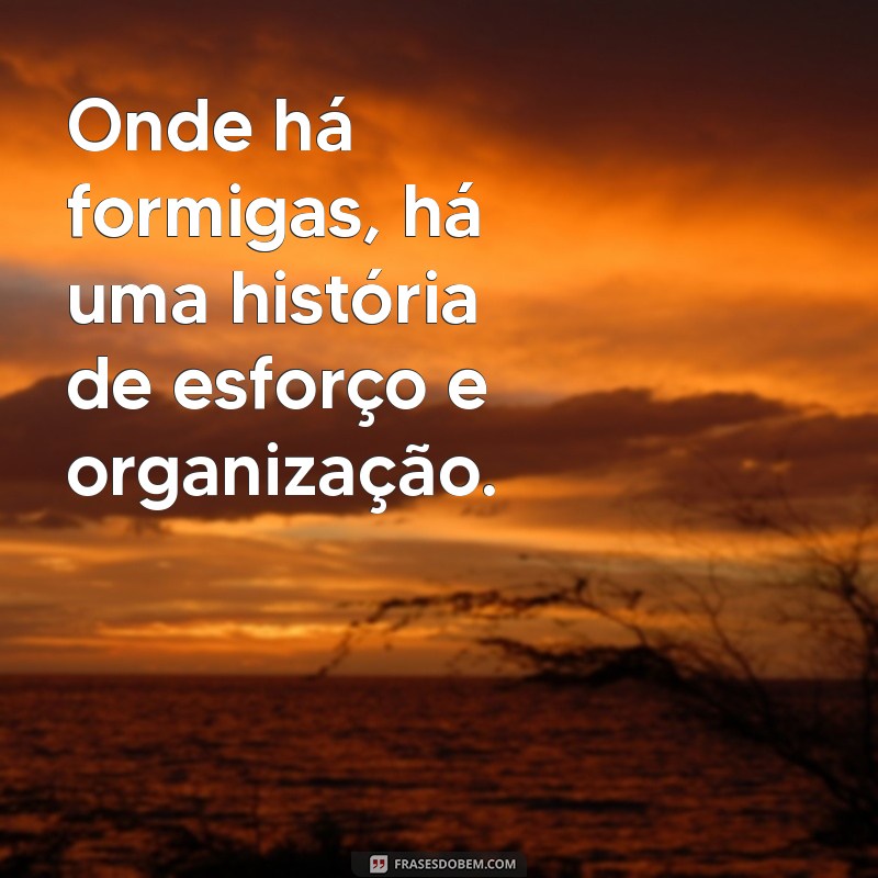 30 Frases Inspiradoras com a Palavra Formiga para Refletir e Compartilhar 