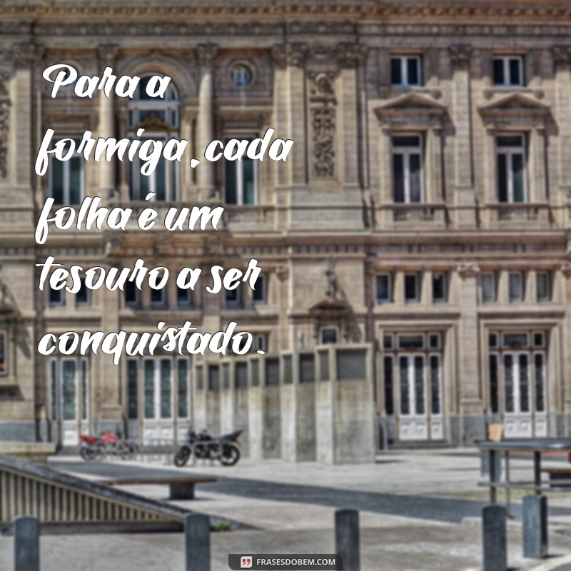 30 Frases Inspiradoras com a Palavra Formiga para Refletir e Compartilhar 