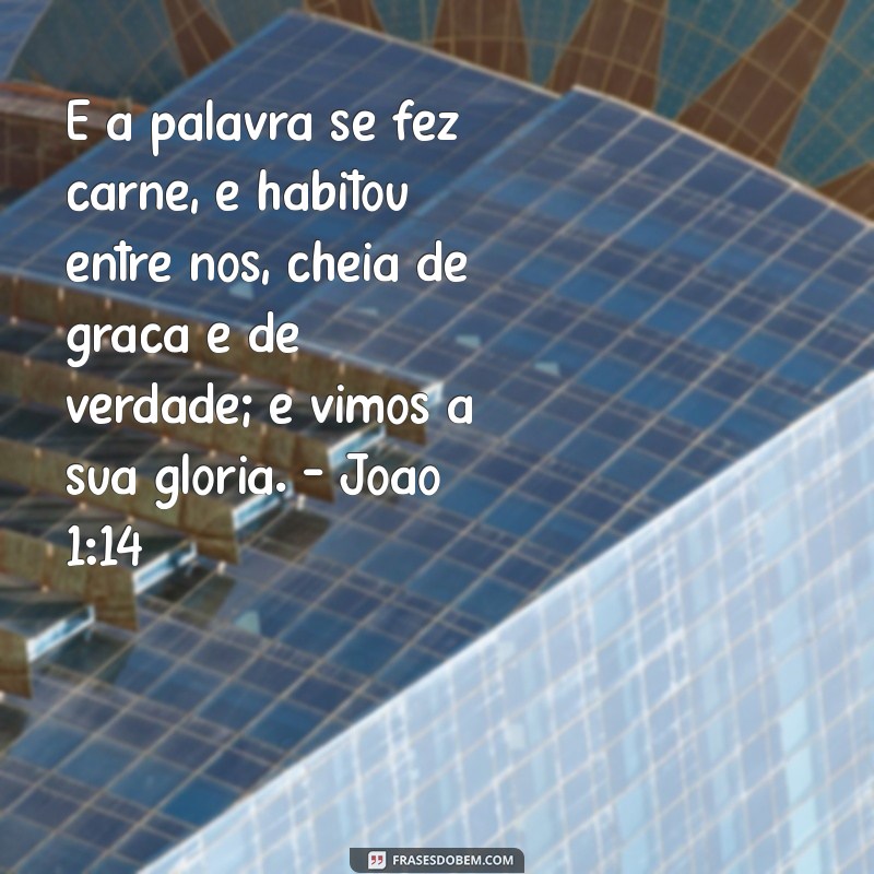 Quem é Jesus na Bíblia: Versículos que Revelam Sua Essência 