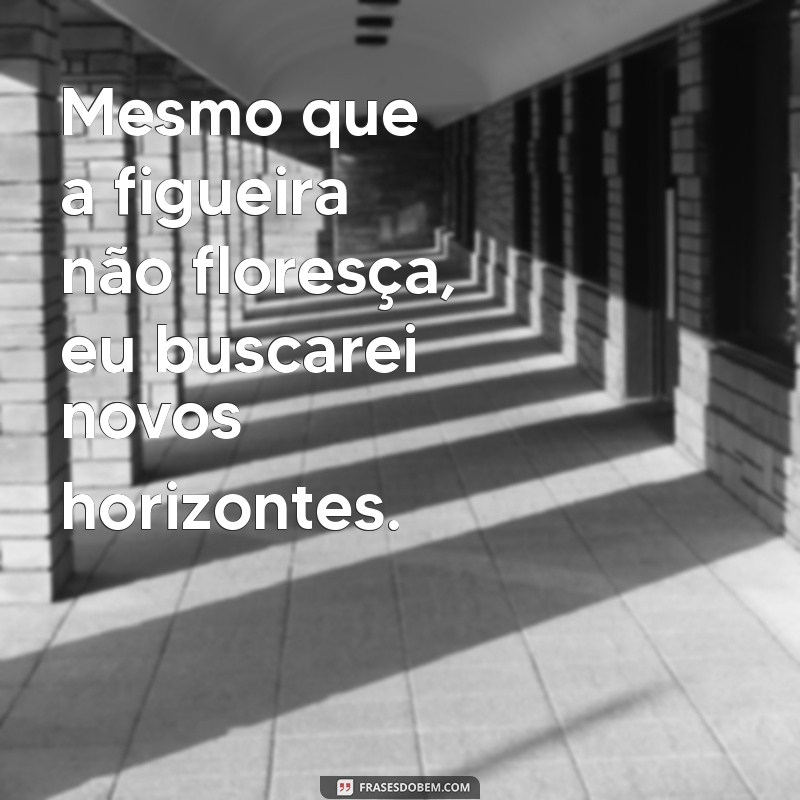 Superando Desafios: A Mensagem Inspiradora de Mesmo que a Figueira Não Floresça 