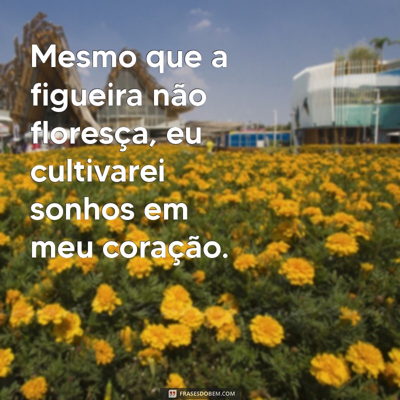 Superando Desafios: A Mensagem Inspiradora de Mesmo que a Figueira Não Floresça 