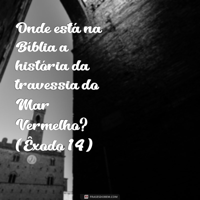 Descubra Onde Está na Bíblia: Versículos e Passagens Esclarecedoras 