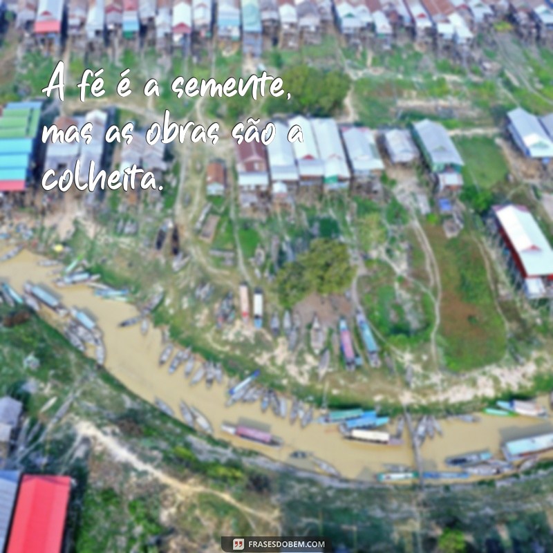 a fé sem as obras é morta A fé é a semente, mas as obras são a colheita.