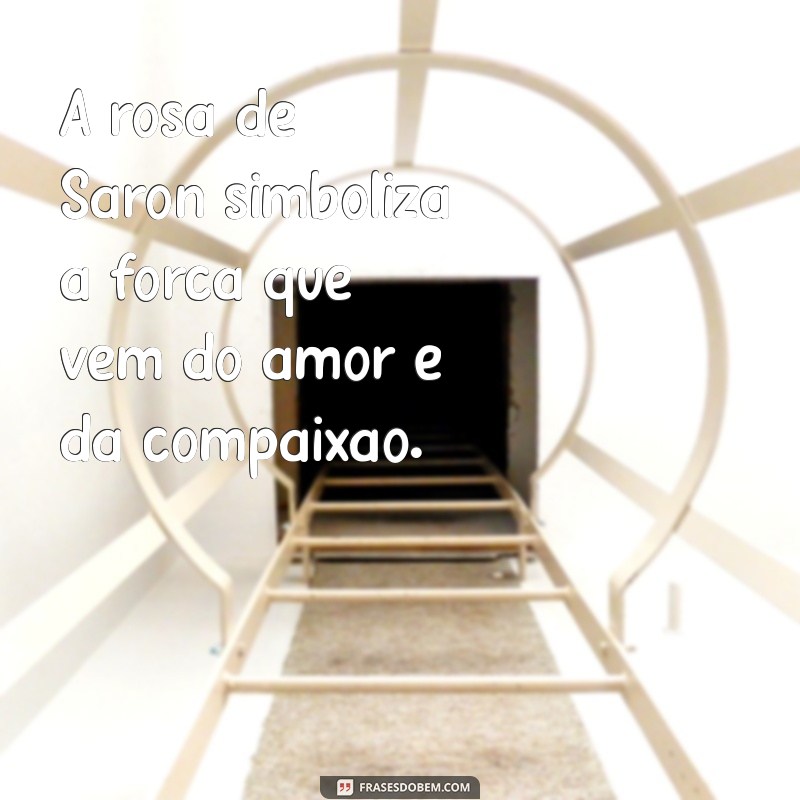 Frases Inspiradoras de Rosa de Saron: Reflexões e Mensagens para o Coração 