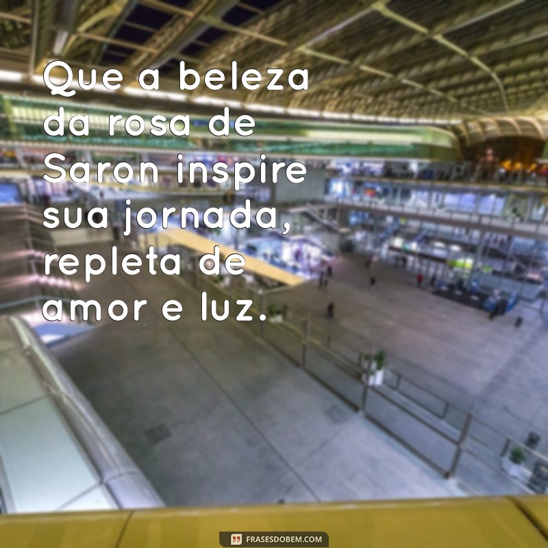 Frases Inspiradoras de Rosa de Saron: Reflexões e Mensagens para o Coração 