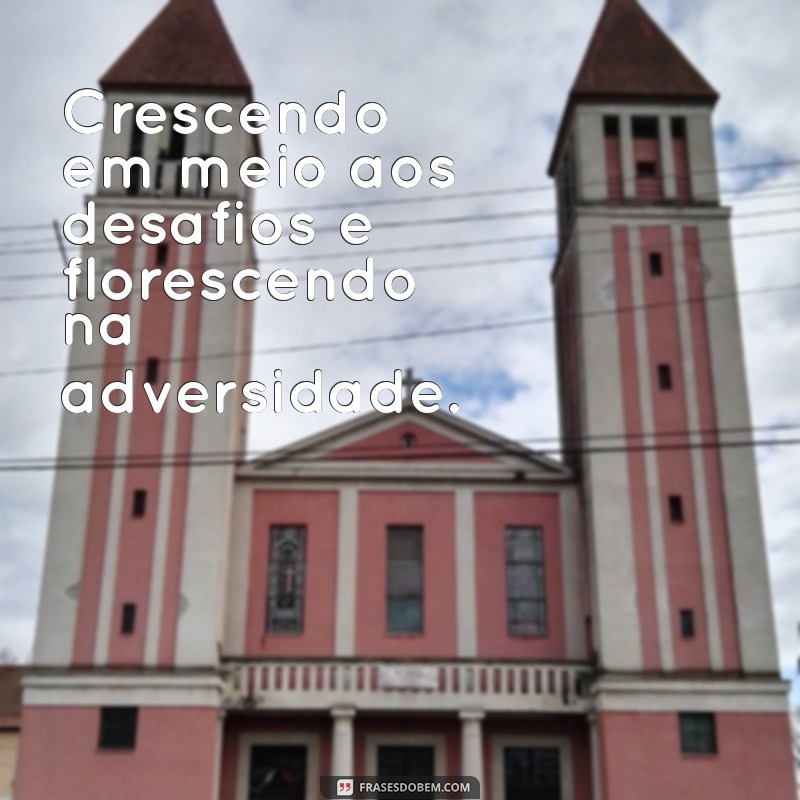 Frases Inspiradoras de Superação para Fotos Sozinha 