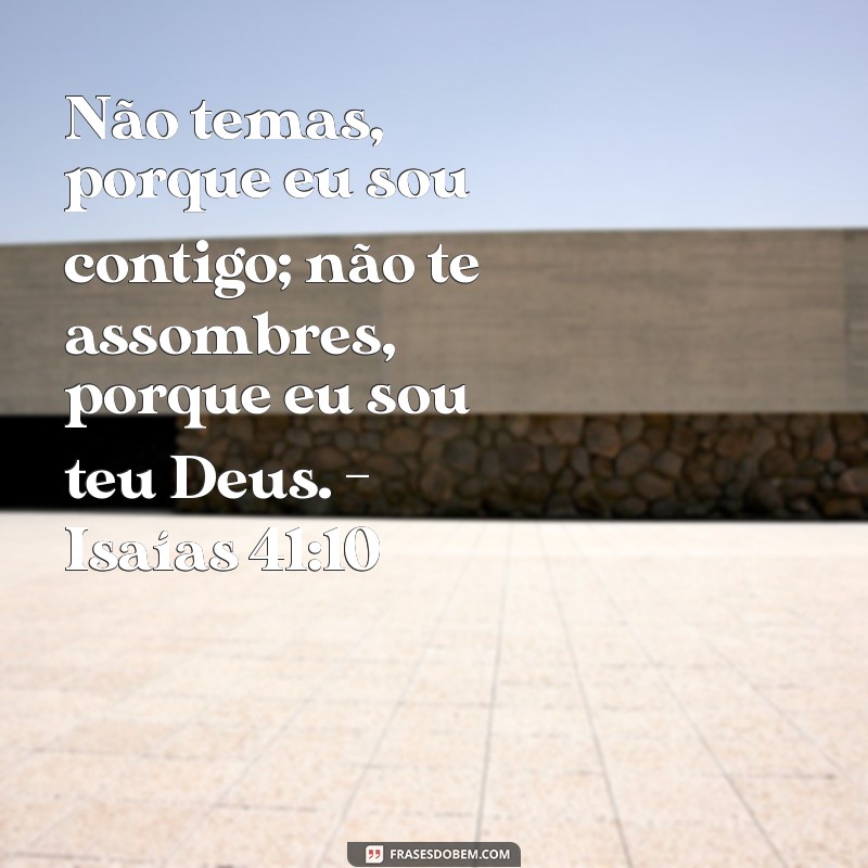 Frases Motivacionais da Bíblia: Inspiração e Força para o Seu Dia 