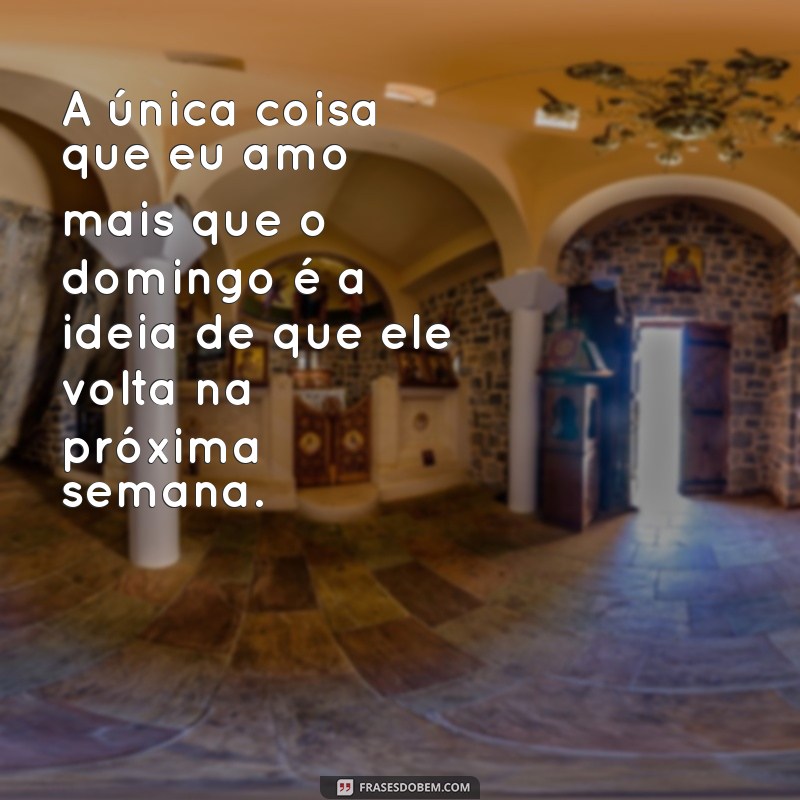 30 Frases Engraçadas para Encarar a Segunda-Feira com Bom Humor 