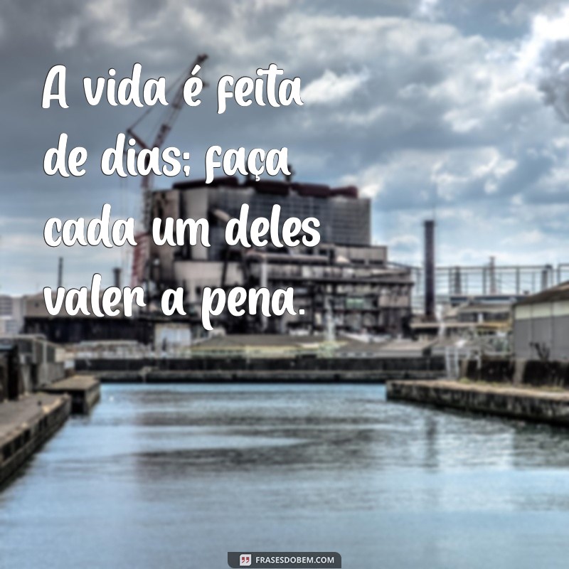 Frases Inspiradoras para Celebrar Cada Dia: Reflexões e Motivação 