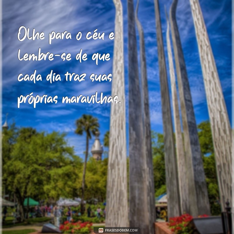 Frases Inspiradoras para Celebrar Cada Dia: Reflexões e Motivação 