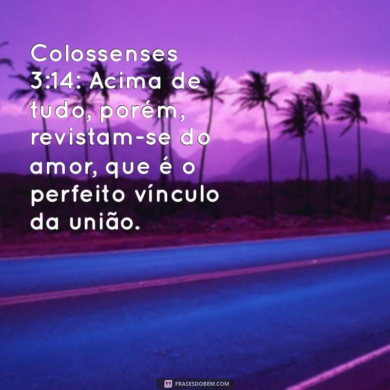 Os Melhores Versículos da Bíblia Sobre Amor para Casais: Fortaleça Seu Relacionamento 