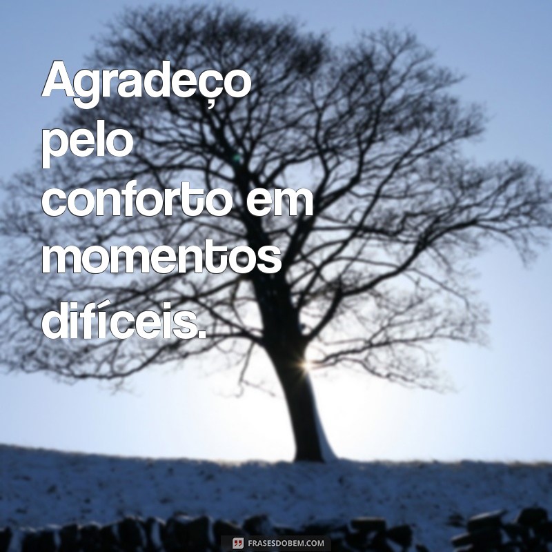 10 Mensagens Curtas de Agradecimento para Expressar sua Gratidão 