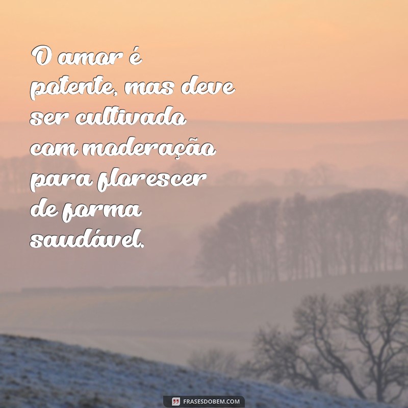 Como Usar com Moderação: Dicas para um Estilo de Vida Equilibrado 