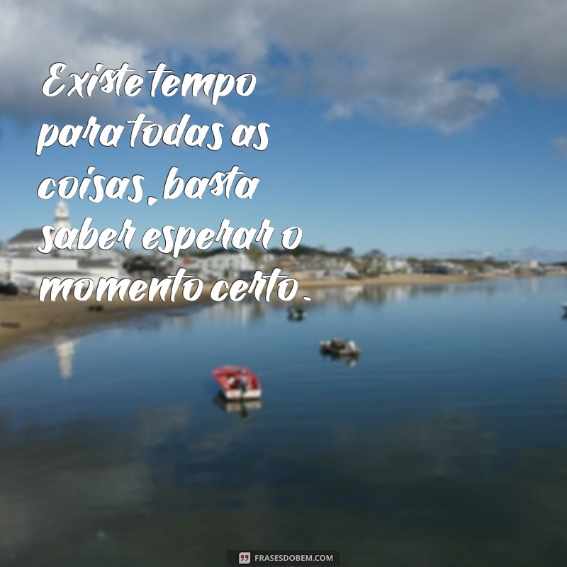 existe tempo para todas as coisas Existe tempo para todas as coisas, basta saber esperar o momento certo.