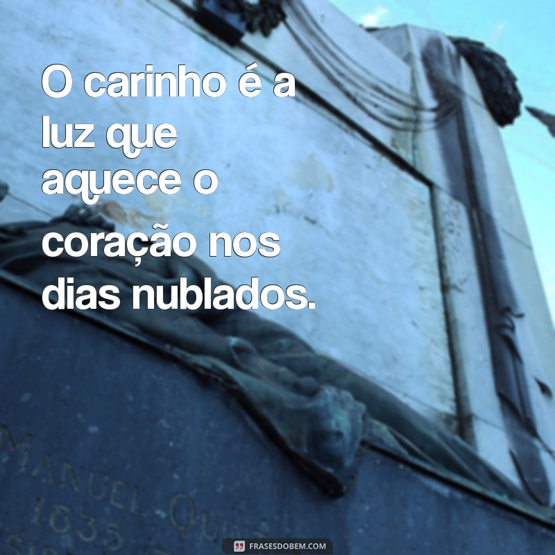 frases lindas de carinho O carinho é a luz que aquece o coração nos dias nublados.