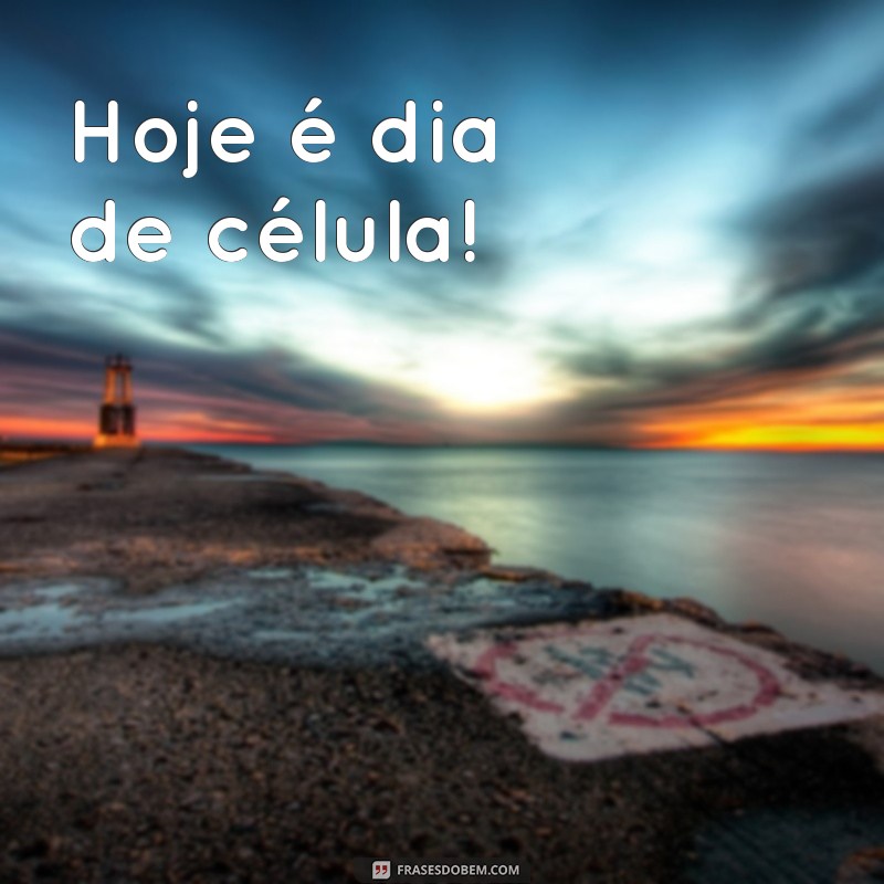 hoje é dia de célula Hoje é dia de célula!