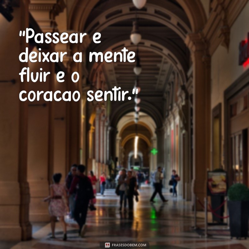 frases sobre passear 