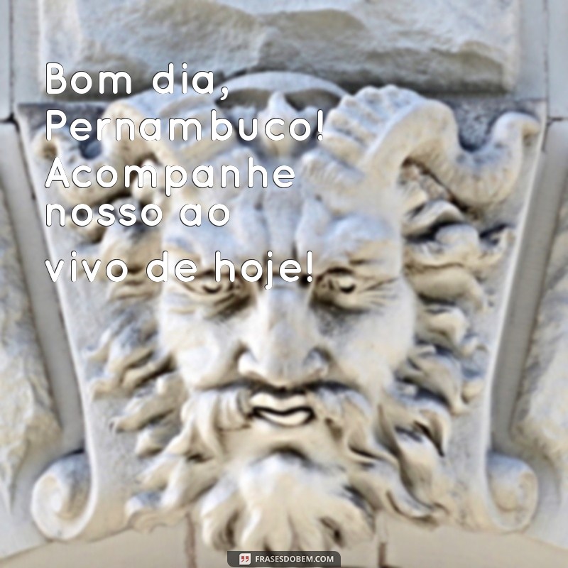 Assista ao Bom Dia PE Ao Vivo Hoje: Notícias e Destaques em Tempo Real 