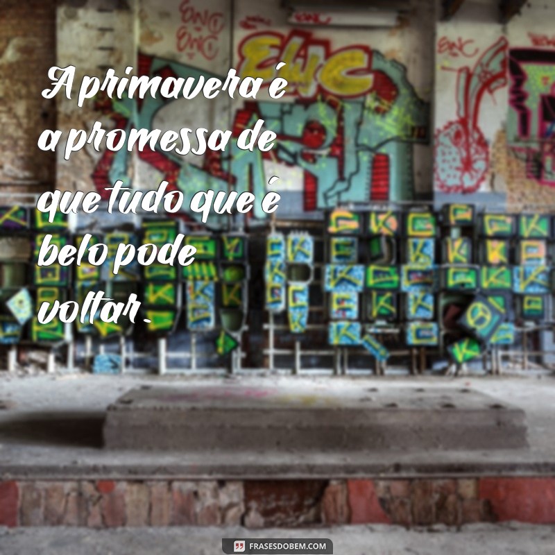 Frases Inspiradoras da Primavera para Decorar Seu Mural 