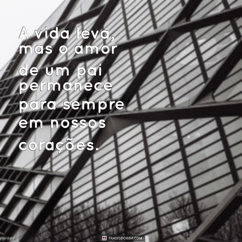 Como Lidar com o Falecimento do Pai: Dicas para Enfrentar a Perda 