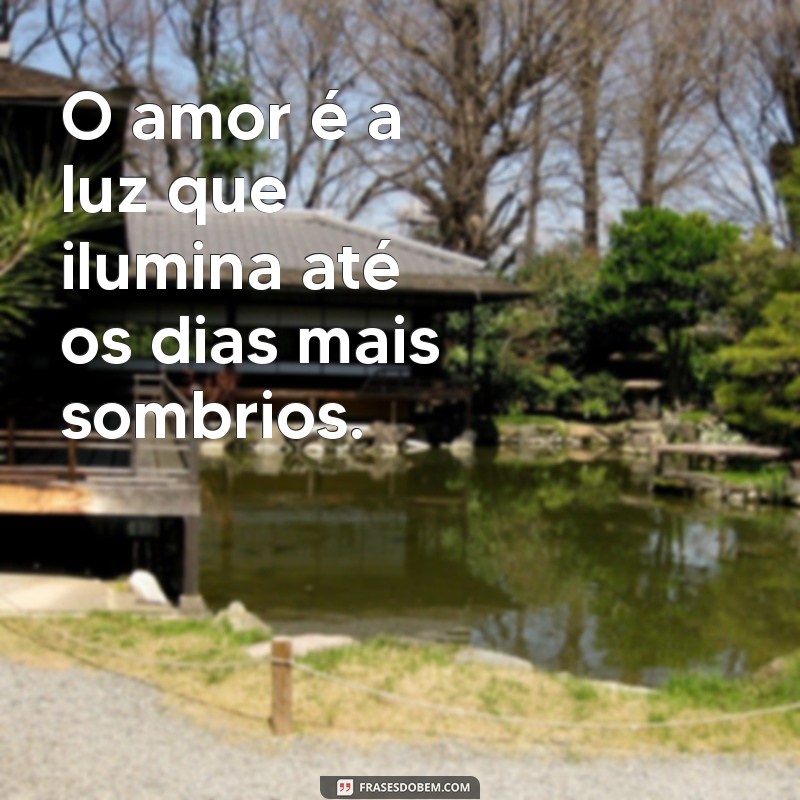 rep bardei tiu iu frases O amor é a luz que ilumina até os dias mais sombrios.