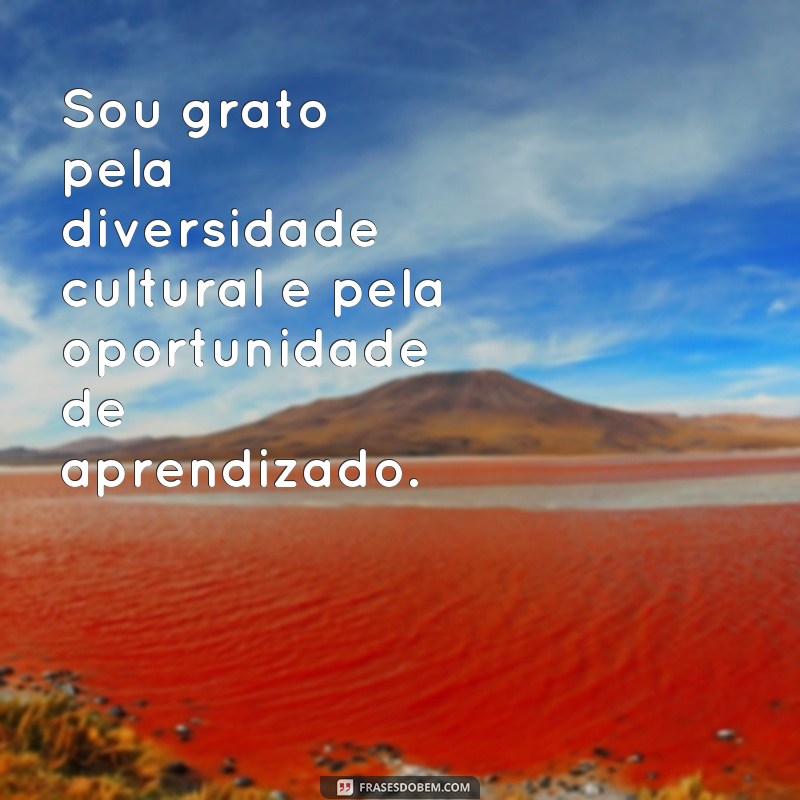 Descubra as melhores frases de gratidão e esperança para inspirar sua vida 