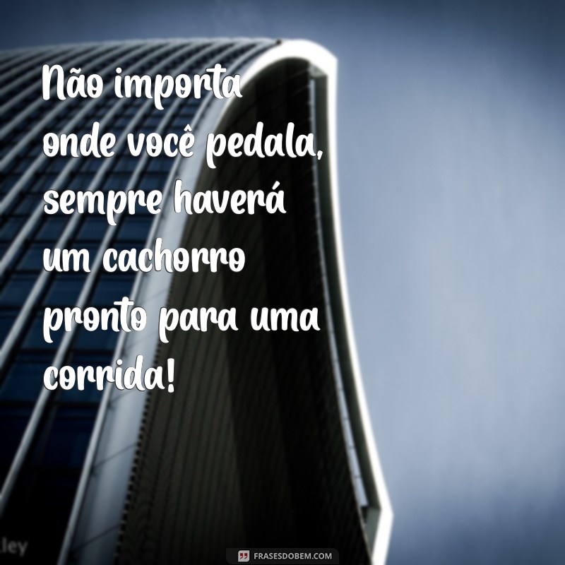 As Melhores Frases Engraçadas sobre Bicicletas para Compartilhar e Sorrir 