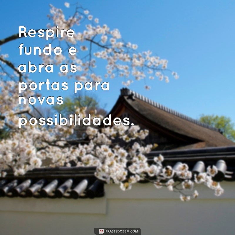 As Melhores Frases de Bom Dia para Arrasar nos Seus Stories 