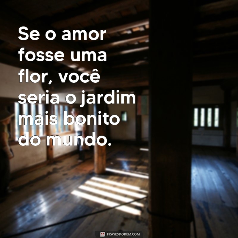 As Melhores Frases de Amor para Encantar sua Namorada 