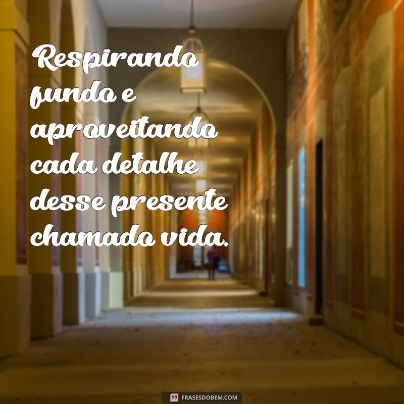 Frases Inspiradoras para Status: Como Capturar o Seu Dia Perfeito 