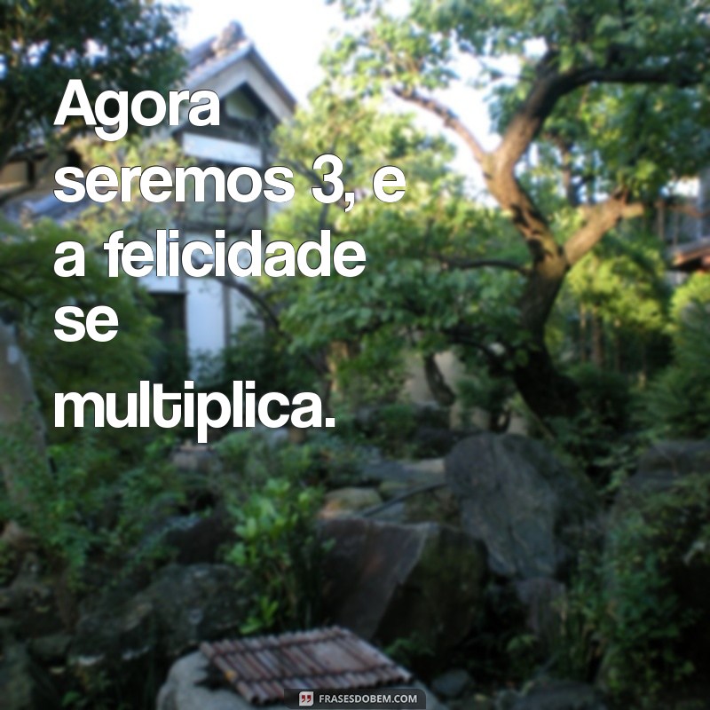 agora seremos 3 Agora seremos 3, e a felicidade se multiplica.