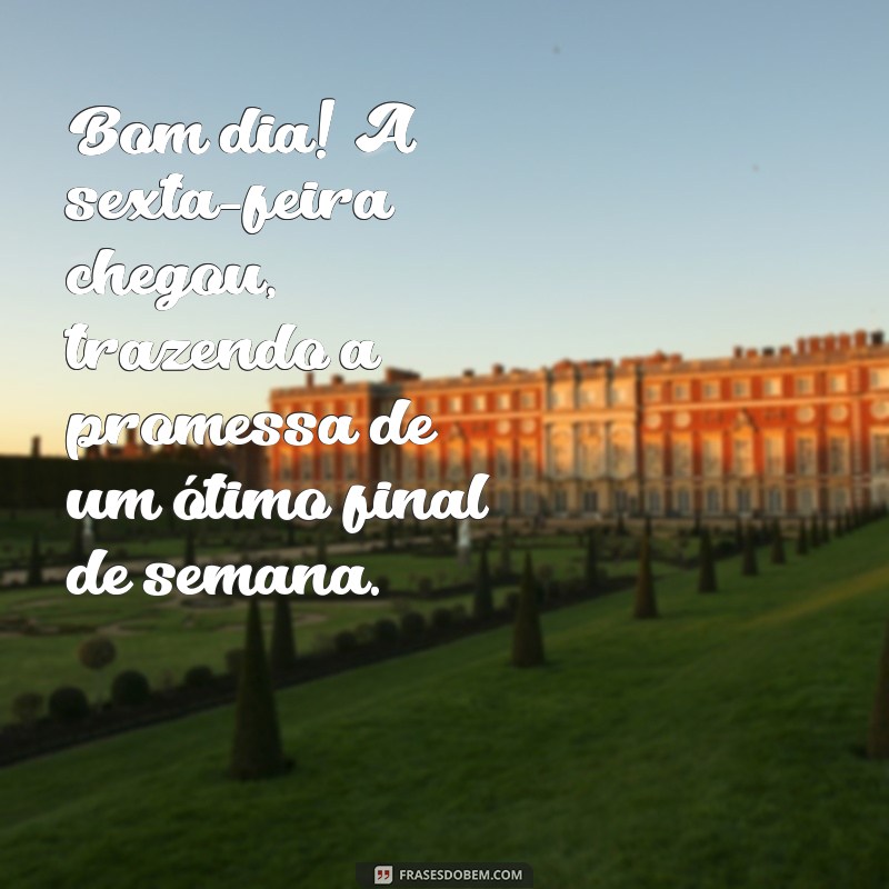 bom dia sexta feira chegou Bom dia! A sexta-feira chegou, trazendo a promessa de um ótimo final de semana.