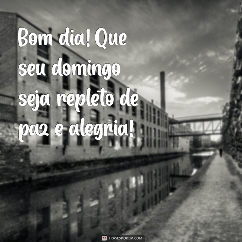 bom dia e feliz domingo Bom dia! Que seu domingo seja repleto de paz e alegria!