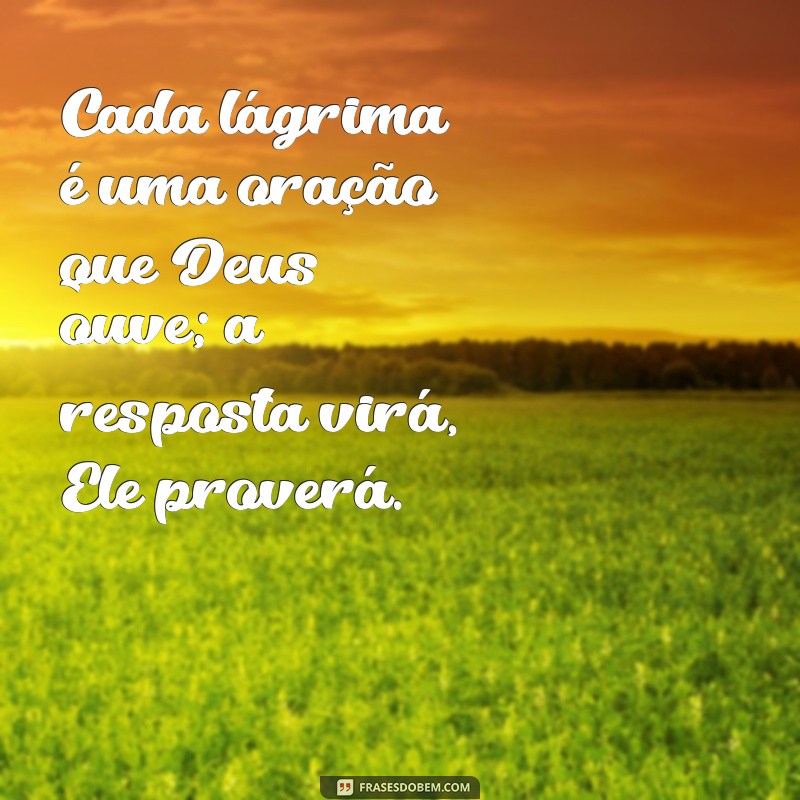 Deus Proverá: Mensagens Inspiradoras para Confiar na Providência Divina 