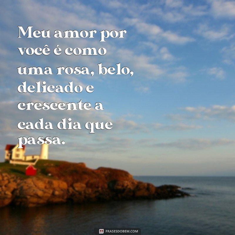 Descubra as mais belas e apaixonantes frases de amor para surpreender sua namorada 