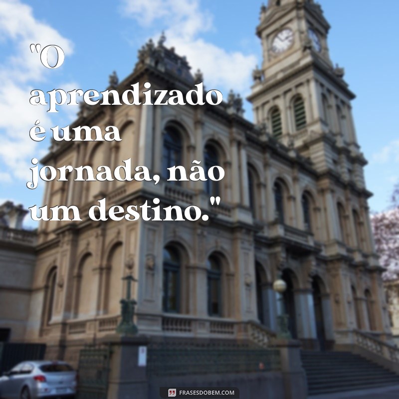 frases sobre processo de aprendizagem 