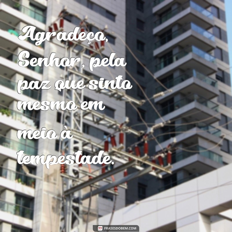 Frases de Gratidão a Deus: Inspire-se com Mensagens Poderosas 