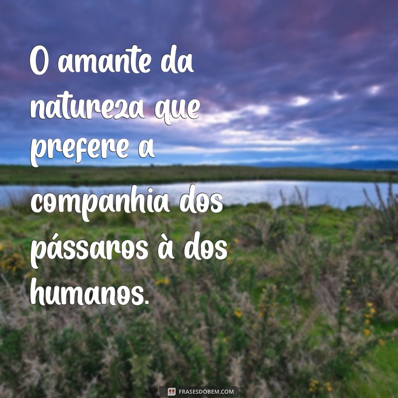 Como Lidar com a Timidez: Dicas e Estratégias para Superar a Insegurança 