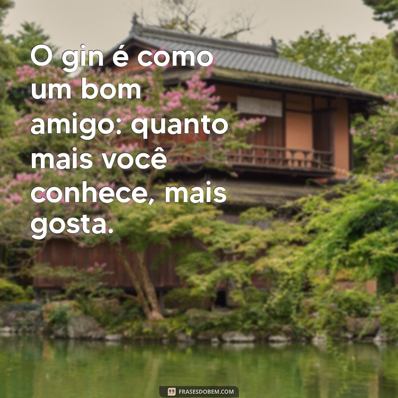 As Melhores Frases sobre Gin para Inspirar seus Momentos de Confraternização 