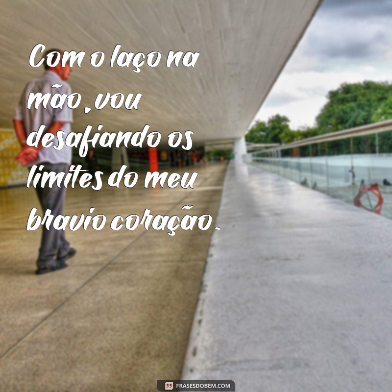 Descubra as melhores frases de uma vaqueira e se inspire na vida no campo 