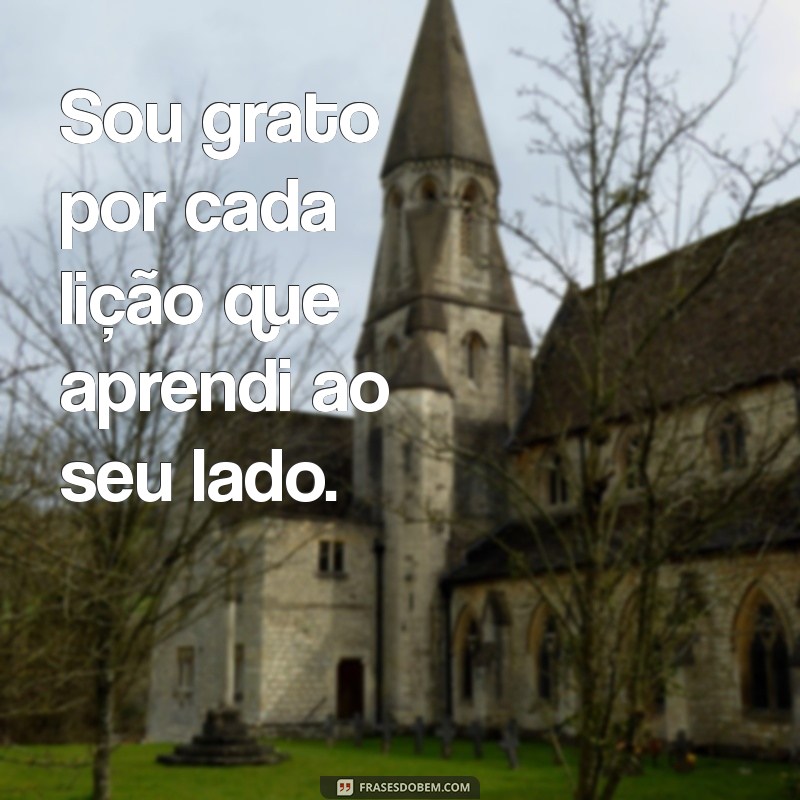 Frases Inspiradoras de Agradecimento: Diga Obrigado por Tudo com Emoção 