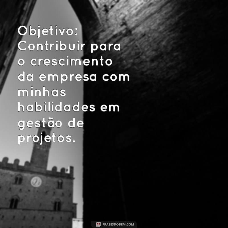 o'que colocar no currículo sobre objetivo Objetivo: Contribuir para o crescimento da empresa com minhas habilidades em gestão de projetos.