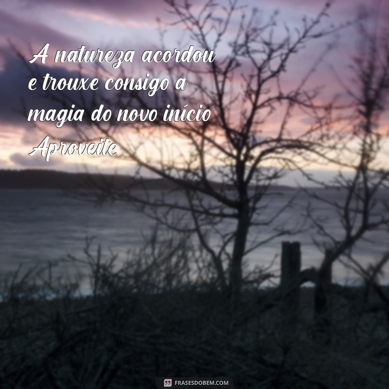 Mensagens de Bom Dia: Inspire-se com Lindas Paisagens 