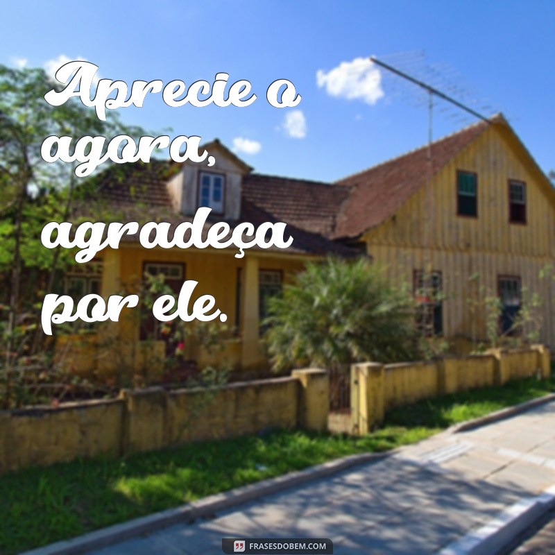 Frases Curtas de Gratidão para Inspirar e Agradecer 