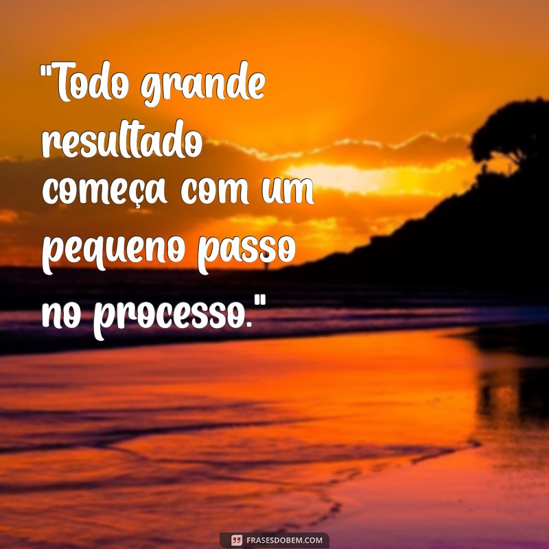 frases sobre processos 