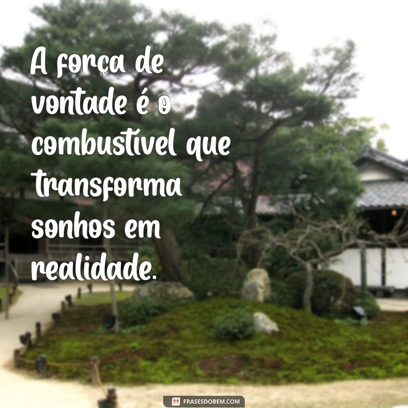 frases força de vontade A força de vontade é o combustível que transforma sonhos em realidade.