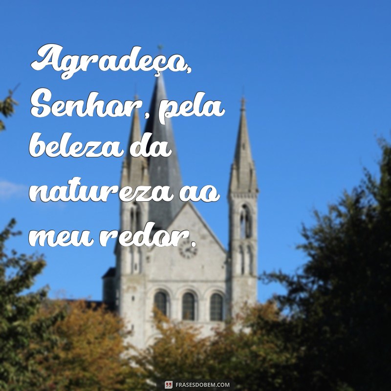 Frases de Gratidão: Agradecendo ao Senhor com Inspiração 